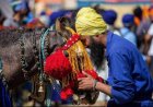 ਹੋਲਾ ਮਹੱਲਾ