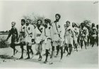 ਗੁਰੂ ਕਾ ਬਾਗ - ਅਕਾਲੀ ਸਰਫ਼ਰੋਸ਼ੀ