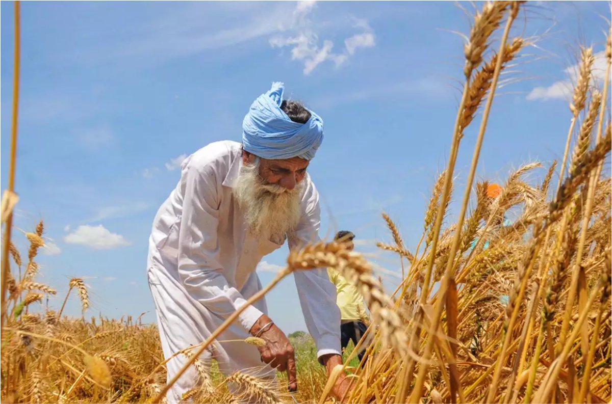 ਪੰਜਾਬ ਦੀ ਖੇਤੀ ਨੀਤੀ ਤੇ ਖੇਤੀ ਵਿਕਾਸ ਅਗੇ ਚੁਣੌਤੀਆਂ