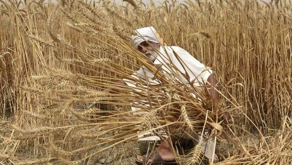 ਵੱਡੇ ਕਰਜ਼ੇ ਦੇ ਜਾਲ਼ ਵਿਚ ਫਸੇ ਪੰਜਾਬ ਨੂੰ ਕੇਂਦਰ ਸਰਕਾਰ ਵਿਸ਼ੇਸ਼ ਪੈਕੇਜ ਦੇਵੇ