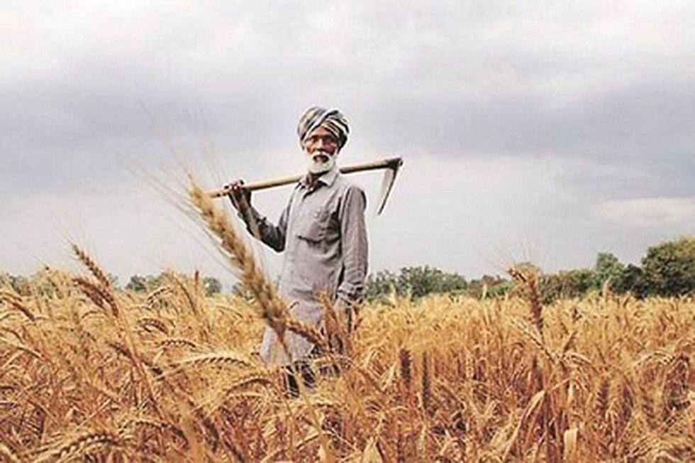  ਪੰਜਾਬ ਸਰਕਾਰ  ਢੁੱਕਵੀਂ ਖੇਤੀ ਨੀਤੀ ਲਈ ਯਤਨਸ਼ੀਲ ਹੋਵੇ