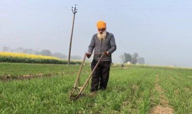 ਕੋਧਰੇ ਦੀ ਖੇਤੀ ਕਰਕੇ ਗੁਰਦਾਸਪੁਰ ਦੇ  ਕਿਸਾਨ ਗੁਰਮੁਖ ਸਿੰਘ ਆਪਣੀ ਆਰਥਿਕਤਾ ਕੀਤੀ ਮਜਬੂਤ