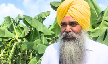 ਸਿਖ ਕਿਸਾਨ ਨੇ ਤਿੰਨ ਏਕੜ ਵਿਚ ਕੇਲਿਆਂ ਤੇ ਇਕ ਏਕੜ ਵਿਚ ਹਲਦੀ ਦੀ ਖੇਤੀ ਕਰਕੇ  ਦਿਖਾਇਆ ਕਮਾਲ