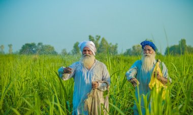 ਕਦੋਂ ਬੰਦ ਹੋਵੇਗੀ ਮੰਡੀਆਂ ’ਚ  ਅੰਨਦਾਤੇ ਦੀ ਲੁੱਟ?
