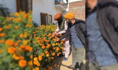 ਇੰਗਲੈਂਡ ਦਾ ਵਰਕ ਪਰਮਿਟ, ਛਡਕੇ ਪੰਜਾਬ ਵਿਚ ਫੁੱਲਾਂ ਦੀ ਖੇਤੀ ਕਰਨ ਲੱਗਾ ਕਿਸਾਨ 