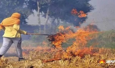ਸੁਪਰੀਮ ਕੋਰਟ ਨੇ ਪੰਜਾਬ ਅਤੇ ਹਰਿਆਣਾ ਵਿੱਚ ਪਰਾਲੀ ਸਾੜਨ 'ਤੇ ਰੋਕ ਲਗਾਉਣ ਦੀ ਮੰਗ ਕਰਨ ਵਾਲੀ ਪਟੀਸ਼ਨ ਕੀਤੀ ਖਾਰਜ
