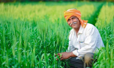 ਕੌਮੀ ਖੇਤੀ ਮੰਡੀ ਨੀਤੀ ਰਾਜਾਂ ਤੇ ਕਿਸਾਨਾਂ ਦੇ ਹਿਤ ਵਿਚ ਨਹੀਂ
