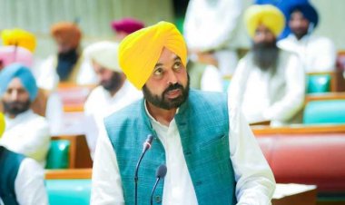 ਕੀ ਪੰਜਾਬ ਦੀ ਲੈਂਡ ਪੂਲਿੰਗ ਨੀਤੀ ਖੇਤੀਬਾੜੀ ਸੂਬੇ ਨੂੰ ਨੁਕਸਾਨ ਪਹੁੰਚਾਏਗੀ ?