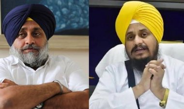 ਕੀ ਸੰਭਾਵਨਾਵਾਂ ਤੇ ਚੁਣੌਤੀਆਂ ਹਨ ਨਵੇਂ ਅਕਾਲੀ ਦਲ ਲਈ