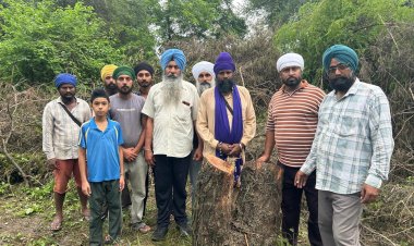 ਪਿੰਡ ਜੇਠੂਵਾਲ ਵਿਖੇ ਸਰਕਾਰ ਦੀ ਸਖਤ ਪਾਬੰਦੀਆਂ ਦੇ ਬਾਵਜੂਦ ਵੱਡੇ ਪੱਧਰ ਤੇ ਹੋ ਰਹੀ ਰੁੱਖਾਂ ਦੀ ਚੋਰੀ ਕਟਾਈ