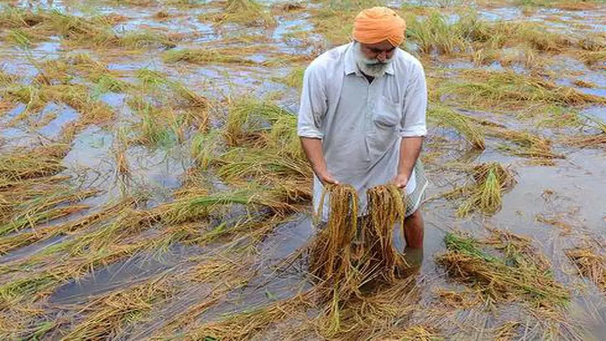 ਪੰਜਾਬ 'ਚ ਹੜ੍ਹਾਂ ਦੀ ਤਬਾਹੀ: ਮੌਤਾਂ 51, 3.87 ਲੱਖ ਲੋਕ ਪ੍ਰਭਾਵਿਤ, 1.84 ਲੱਖ ਹੈਕਟੇਅਰ ਫ਼ਸਲ ਸੁਆਹ