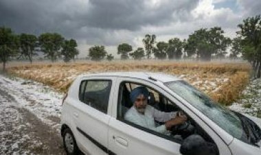 ਗੜ੍ਹੇਮਾਰੀ