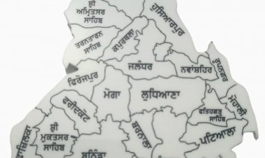 ਡੈਮੋਗ੍ਰਾਫ਼ਿਕ ਸੰਕਟ ਦੇ ਘੇਰੇ ਵਿੱਚ ਪੰਜਾਬ