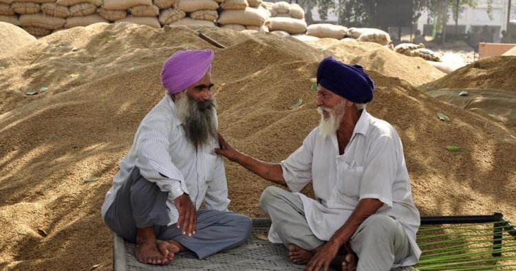 ਜੱਟ ਸਿੰਥੀਅਨ ਕਬੀਲੇ ਦੀ ਇਕ ਸਾਖ