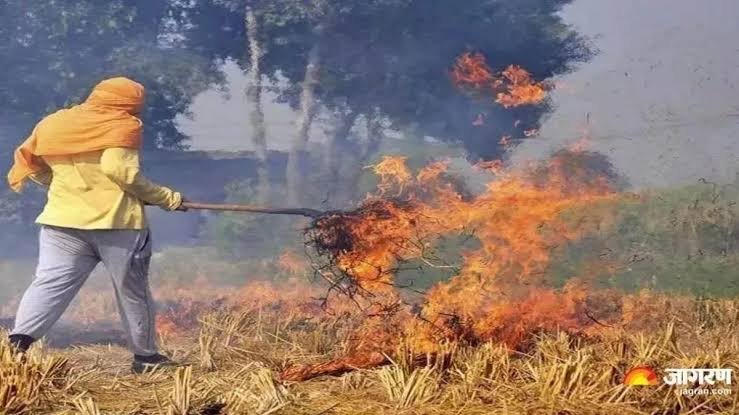ਸੁਪਰੀਮ ਕੋਰਟ ਨੇ ਪੰਜਾਬ ਅਤੇ ਹਰਿਆਣਾ ਵਿੱਚ ਪਰਾਲੀ ਸਾੜਨ 'ਤੇ ਰੋਕ ਲਗਾਉਣ ਦੀ ਮੰਗ ਕਰਨ ਵਾਲੀ ਪਟੀਸ਼ਨ ਕੀਤੀ ਖਾਰਜ